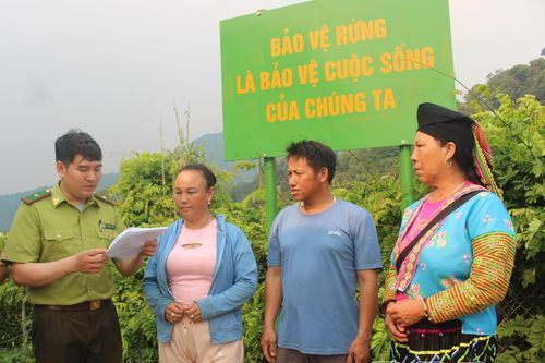 Chủ động thích ứng, nâng cao hiệu quả quản lý, bảo vệ rừng