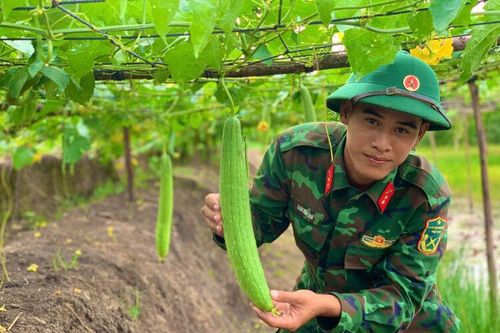 Ở đâu có bộ đội, ở đó có vườn rau xanh