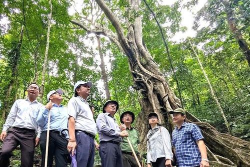 'Di sản kép' của Trường Sơn hùng vĩ