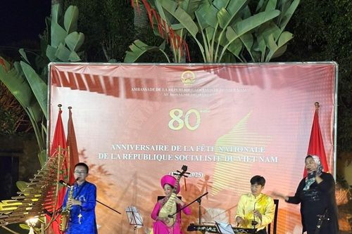 Bản sắc văn hóa Việt rạng rỡ trên đất châu Phi