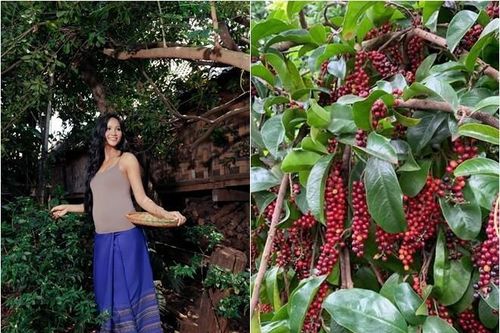 Bên trong khu vườn hơn 2.000m2 của Hoa hậu H'Hen Niê