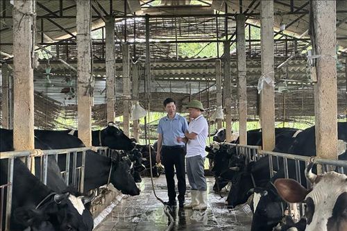 Nhà khoa học của nhà nông và khát vọng nâng tầm nông sản địa phương