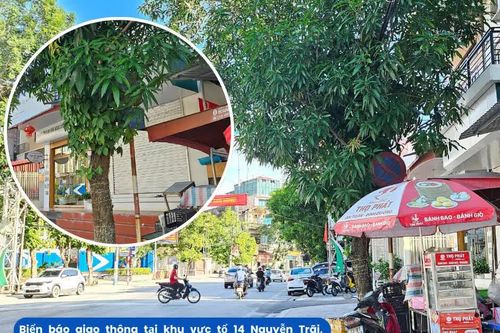Biển báo giao thông đang bị cây xanh che khuất tầm nhìn