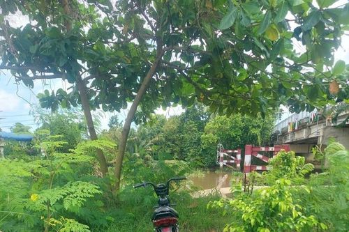 Thanh niên mất tích khi câu cá dưới chân cầu ở TP.HCM