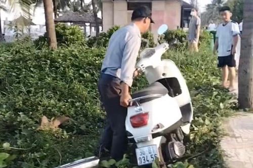 Thực hư thông tin xe máy của du khách bị nhân viên xô ngã xuống bãi biển Đà Nẵng