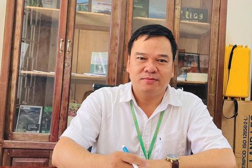 Cắt, tỉa cây xanh phải có mục đích, kế hoạch cụ thể