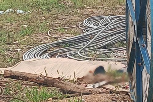 Người đàn ông 25 tuổi tử vong khi rơi từ cột điện cao 30m xuống đất