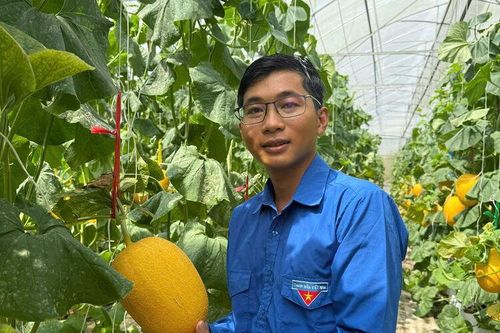 Gieo ý tưởng, gặt thành công