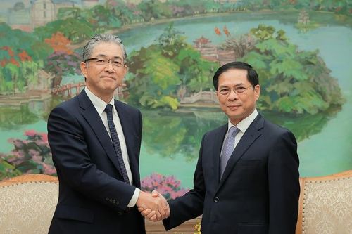 Phó Thủ tướng Bùi Thanh Sơn tiếp Tổng Giám đốc khối điện và hạ tầng toàn cầu Tập đoàn Marubeni