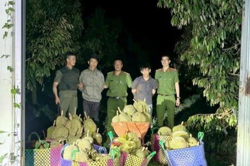Thèm sầu riêng (?!)