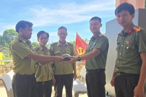 Người dân liên tiếp phát hiện rùa quý hiếm