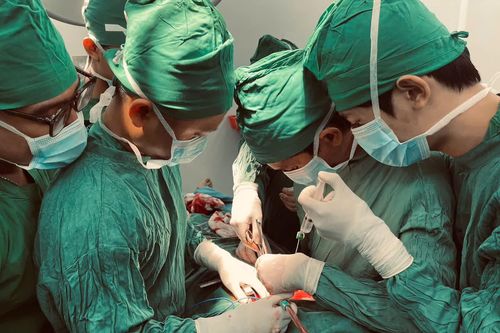 Bệnh viện Đa khoa Khánh Hòa cứu sống bệnh nhân vỡ tim kín