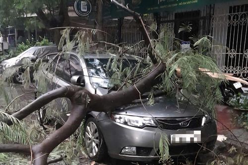 Công an phường Tương Mai hỗ trợ người dân xử lý cây đổ vào ô tô sau mưa lớn