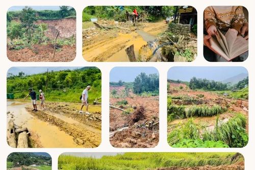 Các cơ sở lưu trú du lịch nỗ lực 'vực dậy' sau bão
