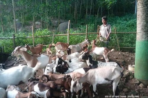 Phân công đảng viên giúp đỡ hộ nghèo vươn lên thoát nghèo