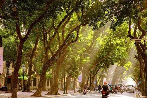 Mùa Thu - nét đẹp đặc trưng đầy quyến rũ của Hà Nội