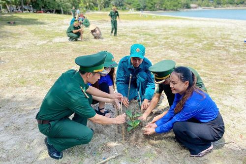 Trồng 150 cây bàng vuông trên xã đảo Tiên Hải