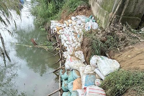 Sông Bồ sạt lở, dân ở bất an