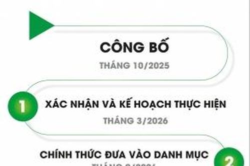 Hợp lực để vươn xa hơn trên hành trình sau nâng hạng thị trường