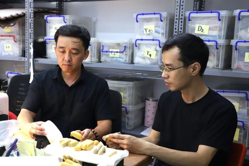 Người thợ Hà Nội nắn hình hài từ silicon, mang phép màu cho người khiếm khuyết