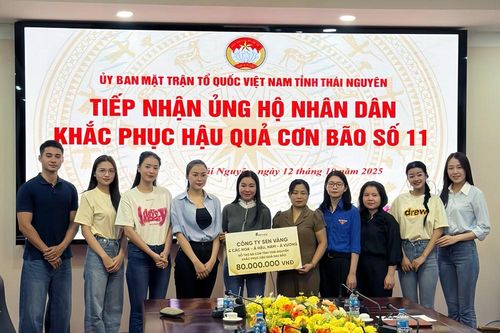 Dàn Hoa hậu, Á hậu đến Thái Nguyên dọn dẹp bùn đất, góp hơn 300 triệu đồng khắc phục bão lũ