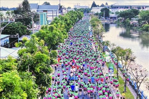 Giải Marathon 'Đất Sen Hồng' thu hút trên 12.000 vận động viên