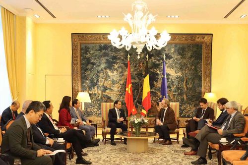 Việt Nam cam kết hiện thực hóa lưới điện ASEAN xanh, bền vững
