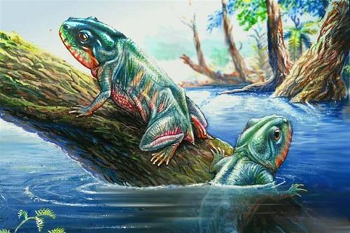 Tận mục tổ tiên kỳ quái của các loài ếch hiện đại