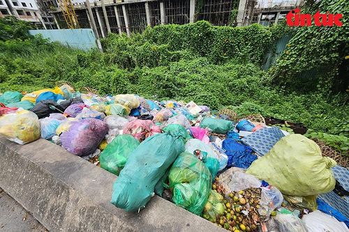 Nhiều tuyến đường tại TP Hồ Chí Minh thành 'bãi rác' do nạn đổ rác trộm
