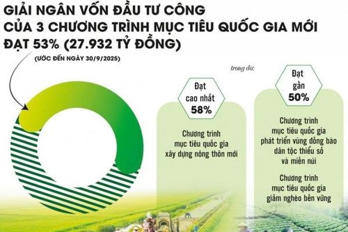 'Chạy nước rút' giải ngân Chương trình mục tiêu quốc gia năm 2025