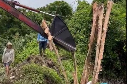 Vĩnh Long công bố tình huống khẩn cấp sạt lở bờ biển