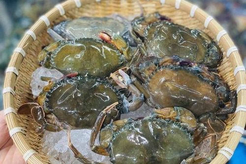 Giảm nghèo ở Cà Mau: Từ con cua công nghệ cao đến sinh kế xanh đất mũi