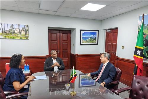 Thúc đẩy các cơ chế hợp tác thiết thực giữa Việt Nam và Saint Kitts và Nevis
