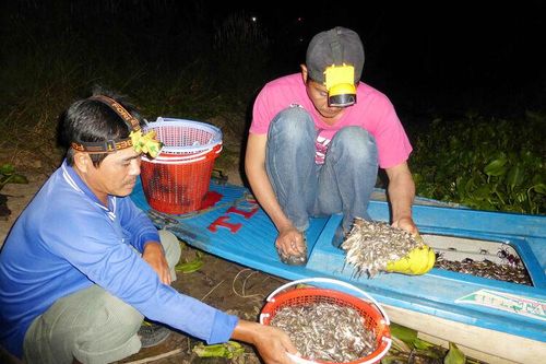 Rong ruổi trong tuyến kênh Tha La
