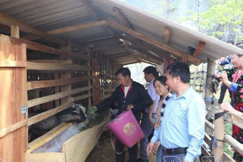 Triển vọng đào tạo nghề, giải quyết việc làm