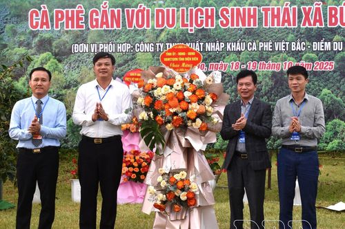 Ngày hội Cà phê gắn với du lịch sinh thái xã Búng Lao