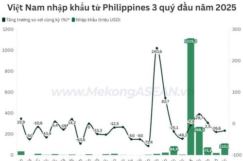 Một mặt hàng nhập khẩu từ Philippines đạt kim ngạch tỷ USD