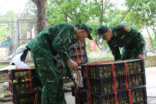 Phát hiện, bắt giữ 2 đối tượng vận chuyển hàng hóa không rõ nguồn gốc
