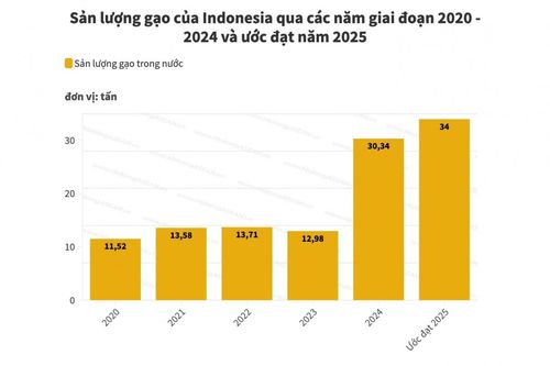 Indonesia sẽ 'tự cung tự cấp gạo' cho đến cuối năm 2025