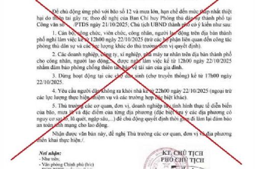 Đà Nẵng bác thông tin cho cán bộ nghỉ làm, dừng hoạt động chợ tránh bão