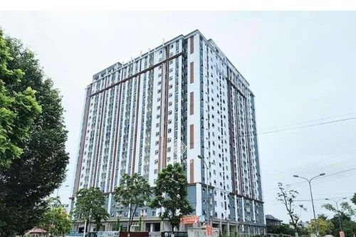 Thanh Hóa chỉ đạo khẩn trương cấp Giấy chứng nhận quyền sử dụng đất cho khách hàng