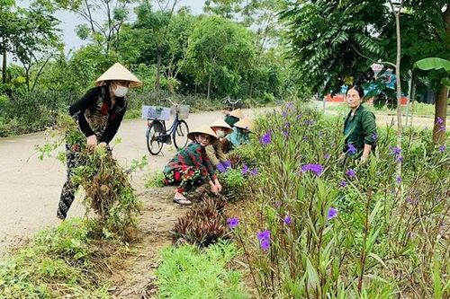 Xây dựng khu dân cư 'Sáng - xanh - sạch - đẹp' ở Hà Trung