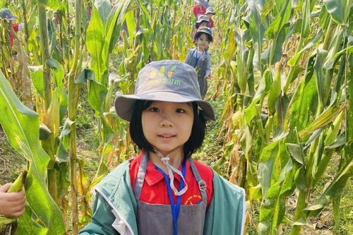 Học sinh đi tham quan, trải nghiệm: Cần lưu ý gì để đảm bảo an toàn?