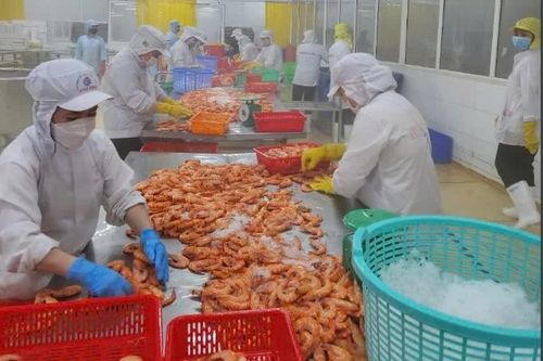 HSBC: Tăng trưởng nhanh nhất ASEAN, kinh tế Việt Nam 'không ngừng sải bước'