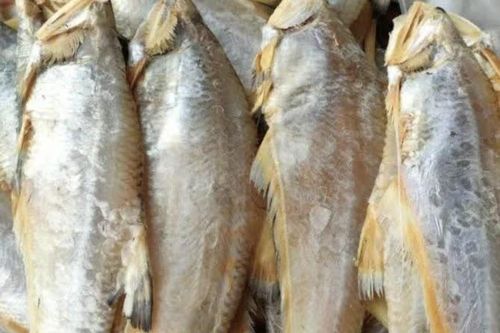 Loại cá xưa cho người nghèo, nay thành đặc sản với giá 150.000 đồng/kg