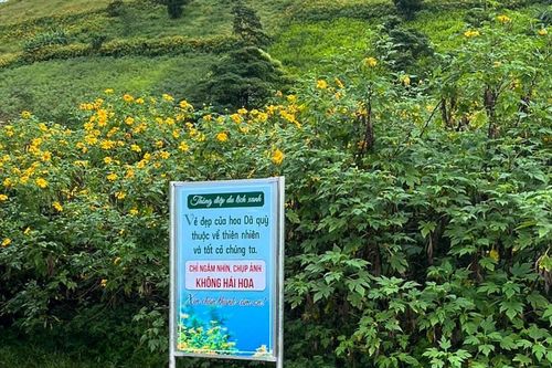Chung tay gìn giữ vẻ đẹp mùa hoa dã quỳ – núi lửa Chư Đang Ya