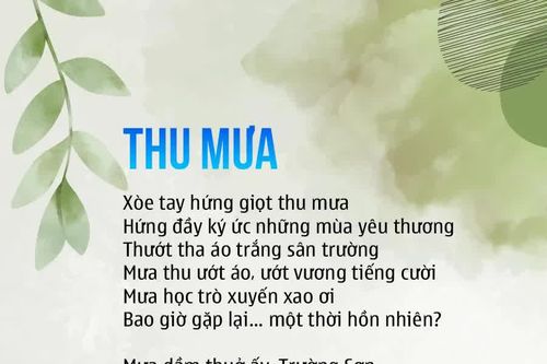 Thu mưa