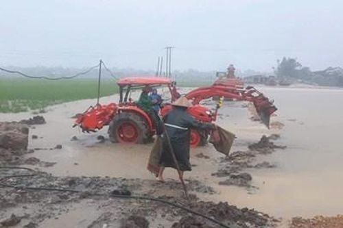 Thiệt hại nặng nề, ngành nông nghiệp cần hỗ trợ khẩn cấp cây, con giống