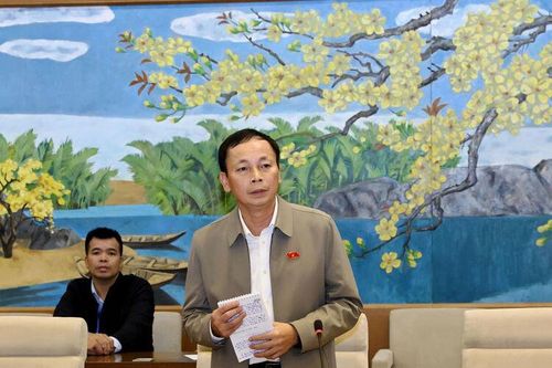 Đại biểu Quốc hội tỉnh An Giang đóng góp dự án Luật An ninh mạng