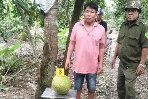 Cơ sở pháp lý vụ người đàn ông bị khởi tố vì trộm hai trái mít trị giá 387.000 đồng